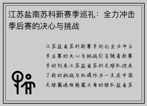 江苏盐南苏科新赛季巡礼：全力冲击季后赛的决心与挑战