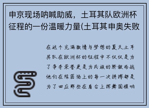 申京现场呐喊助威，土耳其队欧洲杯征程的一份温暖力量(土耳其申奥失败理由)