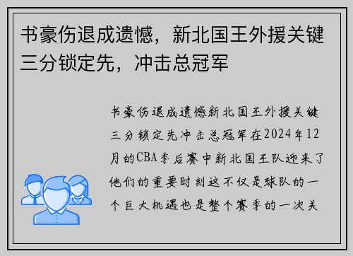 书豪伤退成遗憾，新北国王外援关键三分锁定先，冲击总冠军